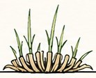 Hay & Pasture at Dormant · Pre-season