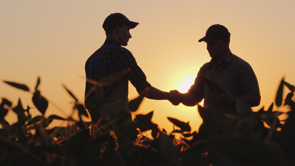Two people shaking hands silhouetted against the sun over a soybean field