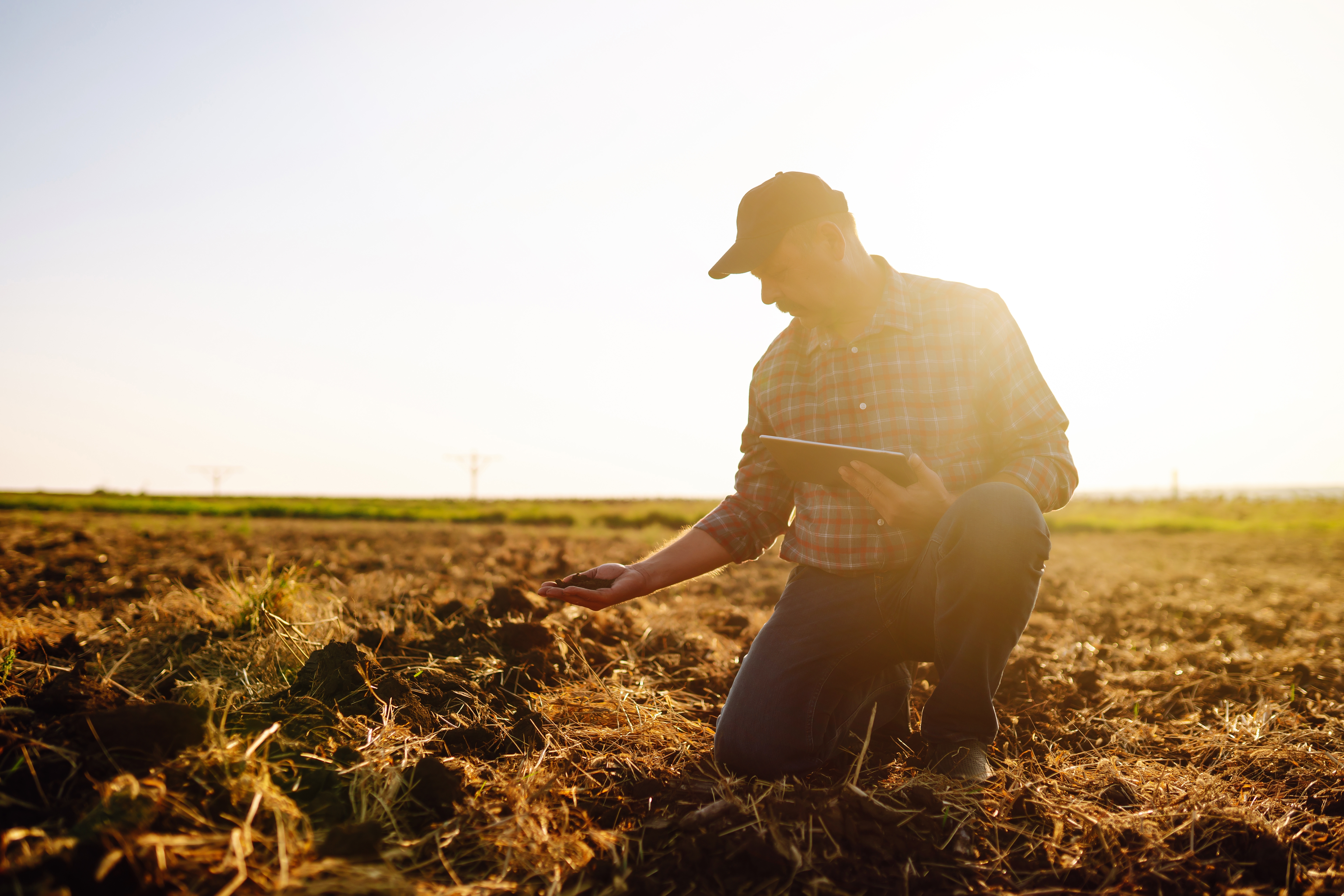 Agronomist crouched with tablet, touching soil in a field at golden hour