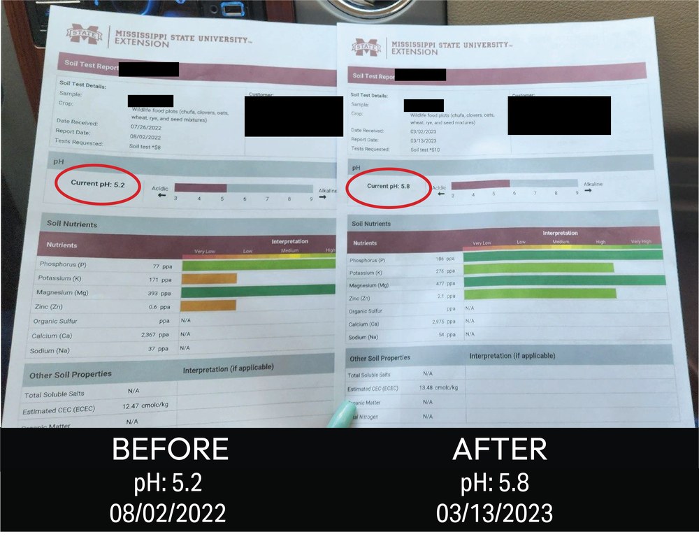 Soil test report